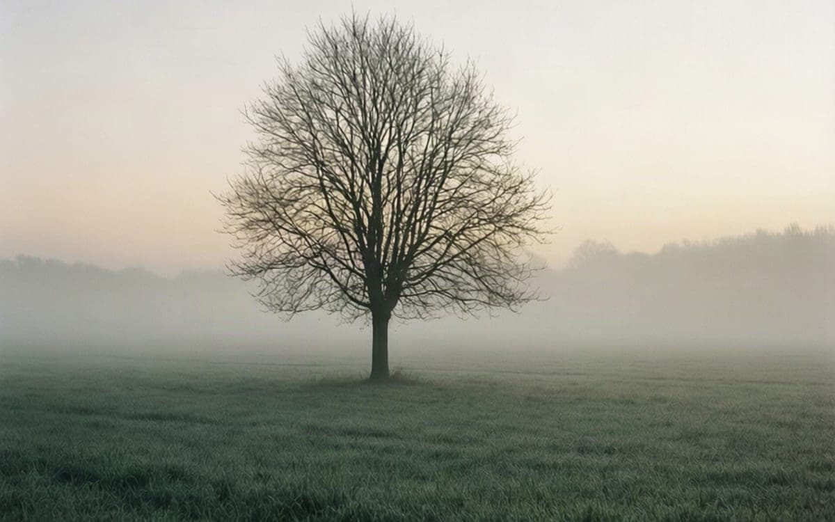 A calm landscape with a trained style applied: soft edges, muted colour.